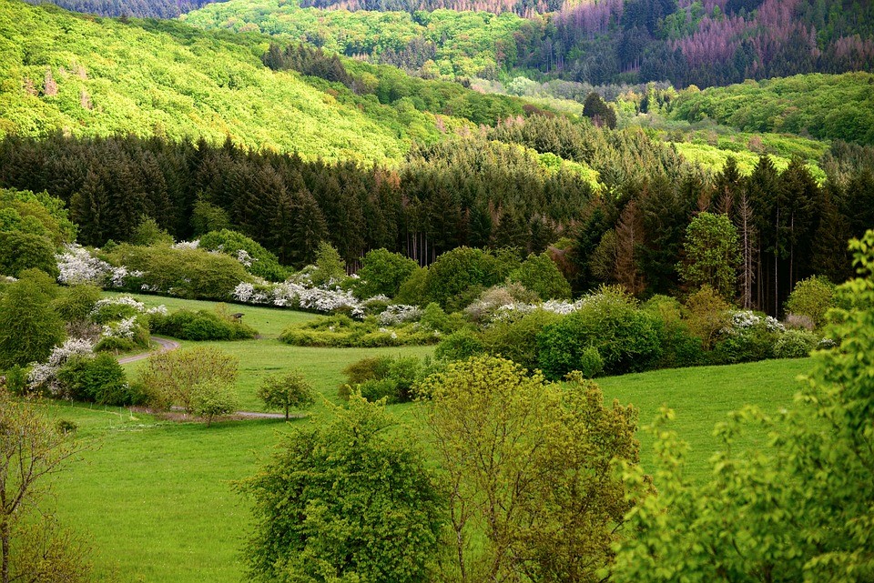 Destacando la agricultura y la silvicultura regenerativas – Socios para la gestión sostenible de la tierra