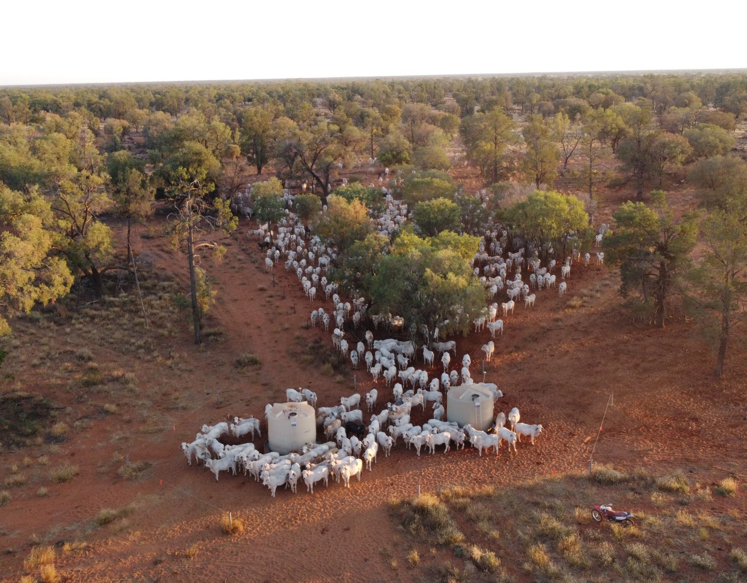 Spotlight On SLM Partners' Regenerative Agriculture Strategy