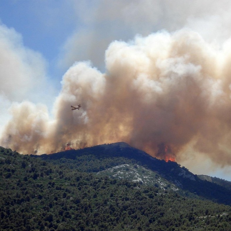 New Wildfire Insurance Program Launched For Art Collectors